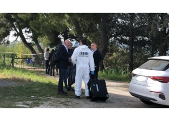 In azione cane molecolare.Presenti pm Bilotta e legale fidanzato