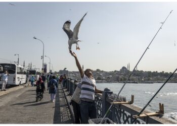 Catturato a Istanbul Abu al-Hasan al-Qurashi