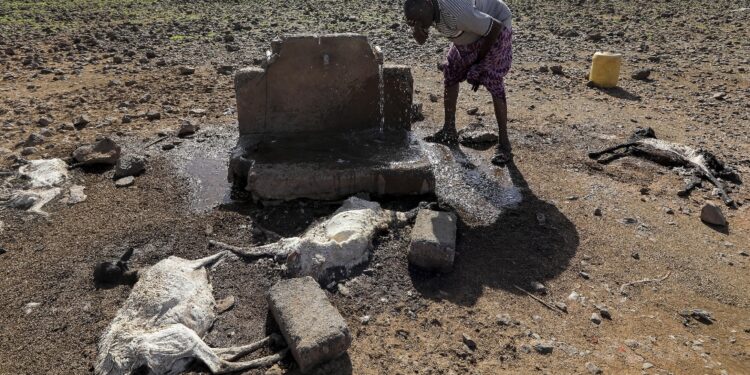 Siccità perenne minaccia popolazione in Etiopia