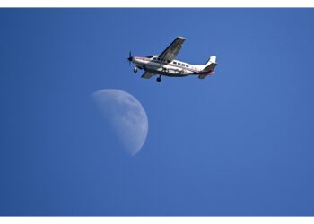 In Florida. Senza alcuna esperienza