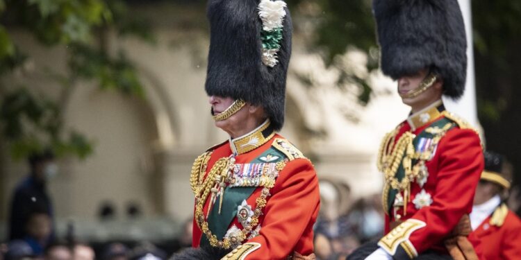 Parata di star per show davanti a Buckingham Palace