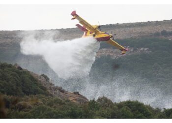 In azione un canadair e tre elicotteri del Corpo forestale