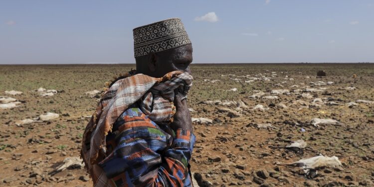 Più di 900 mila bambini di meno di 5 anni gravemente malnutriti