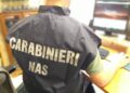 Titolari e dipendenti accusati di maltrattamenti e abbandono