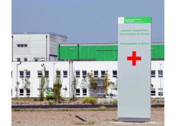 Il piccolo è deceduto in ospedale