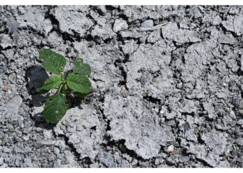 Per avviare misure straordinarie ed emergenziali sul territorio