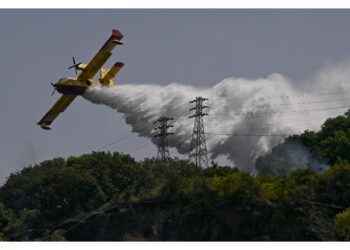 Le fiamme si sono estesi su circa 15 ettari di vegetazione