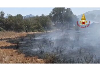 Due fronti di fuoco a Loiri Porto San Paolo