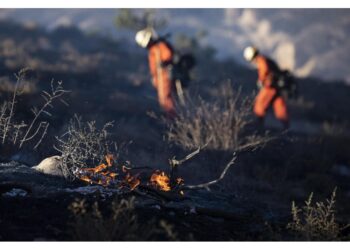 Picco di calore previsto oggi