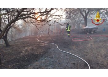 Stava seguendo operazioni di spegnimento della Protezione civile