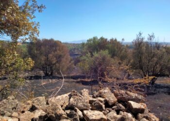 Rogo ha lambito centro abitato di Mandas e area archeologica