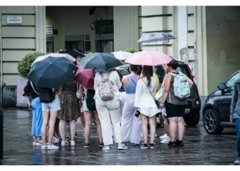 Vento e violenti scrosci nel Pordenonese e a Trieste