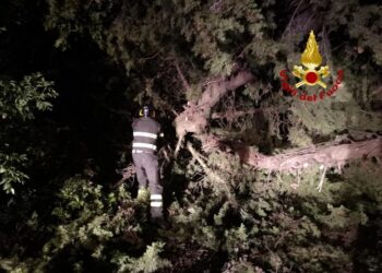 In aiuto personale dal Comando di Treviso