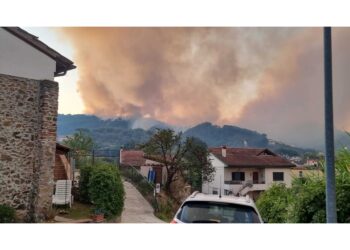 'Si cerca di stabilizzare l'incendio nell'arco di una giornata'