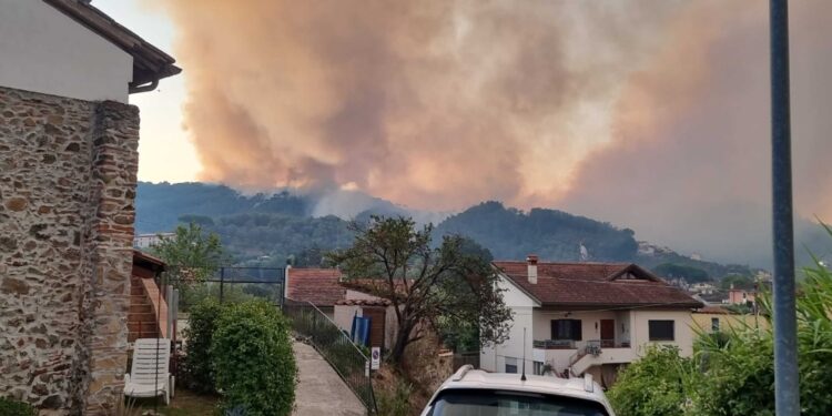 'Si cerca di stabilizzare l'incendio nell'arco di una giornata'