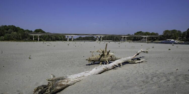 Da Provincia recupero fauna ittica e monitoraggio