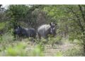 Nel Parco nazionale Kruger