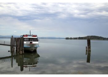 Turisti e fauna nonostante livello acqua scende ancora