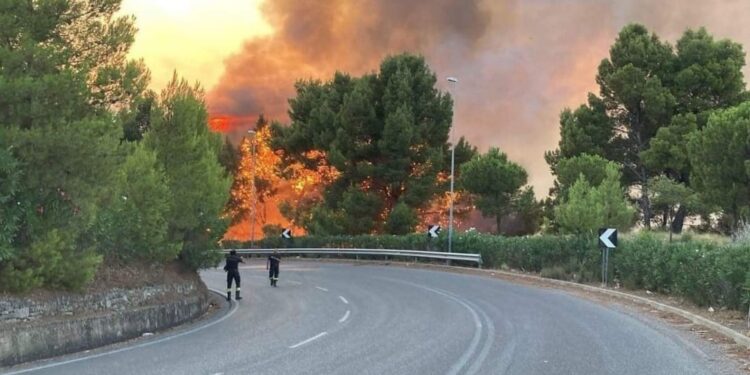 Lo ha disposto in maniera precauzionale il sindaco di Pisticci