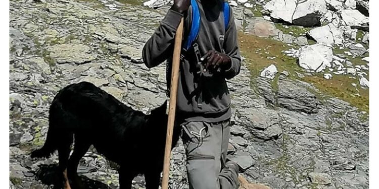 E' un cucciolo di border collie che lo aiutava in alpeggio