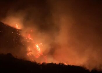 Protezione civile: rogo domato