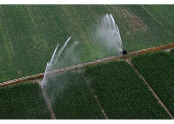 L'arto stritolato da motopompa in azione per irrigare i campi