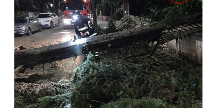 In seguito al violento nubifragio della scorsa notte