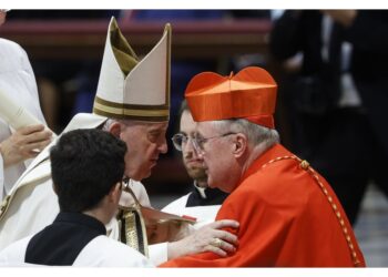 Il Pontefice crea nel Concistoro venti nuovi cardinali