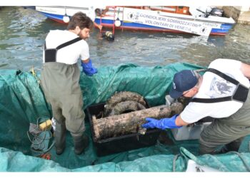 Oggi quattordicesima immersione nel sestiere di San Marco