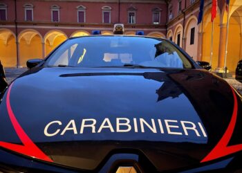 Indagini dei Carabinieri per accertare la provenienza