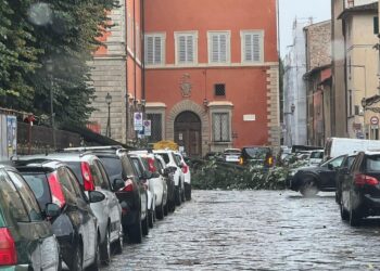 Su statale a Vallombrosa 300 mezzi storici bloccati bloccati