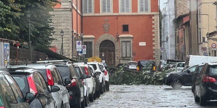 Su statale a Vallombrosa 300 mezzi storici bloccati bloccati