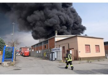 'A disposizione enti preposti per ogni accertamento'