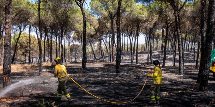 Dura lotta per contenere le fiamme