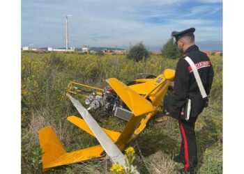 Avaria durante volo panoramico. Pilota lo fa scendere in prato