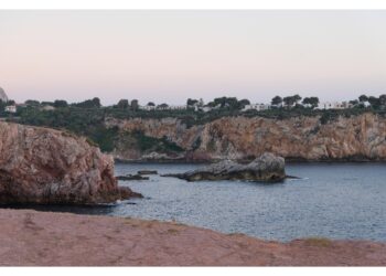 I due animali hanno seminato panico sul lungomare di Terrasini