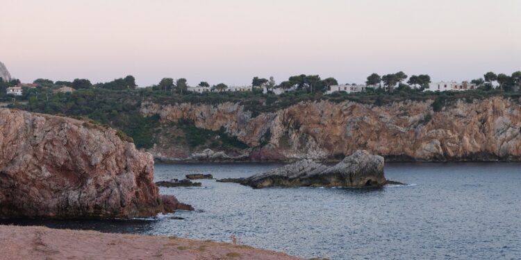 I due animali hanno seminato panico sul lungomare di Terrasini