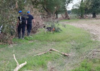 Soccorritori impegnati da 32 giorni