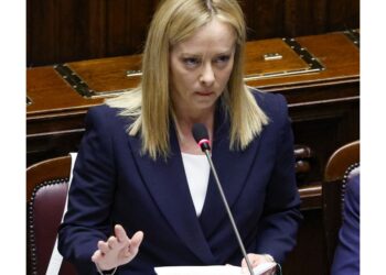 Il Parlamento ha il suo ruolo