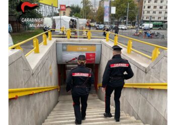 Identificato dai carabinieri con immagini della sorveglianza