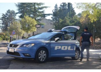 L'incidente in un'azienda agricola del capoluogo