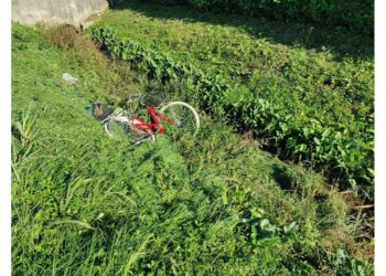 Ennesimo incidente. Alla guida il parroco di Aquileia