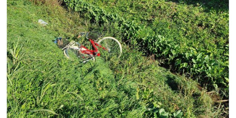 Ennesimo incidente. Alla guida il parroco di Aquileia