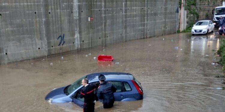 Protezione civile