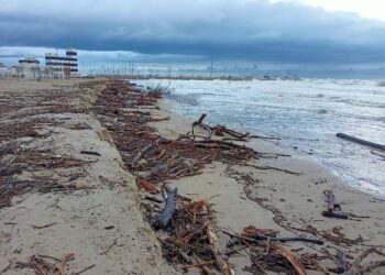 Spiaggia Senigallia invasa da detriti