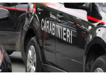 In un parcheggio. Si è presentato ai carabinieri e ha confessato