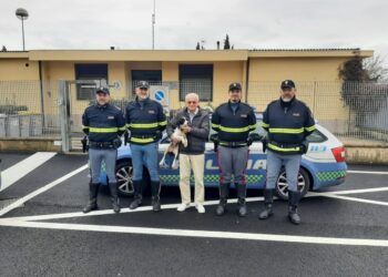 Evitati incidenti con i veicoli. Automobilisti danno l'allarme