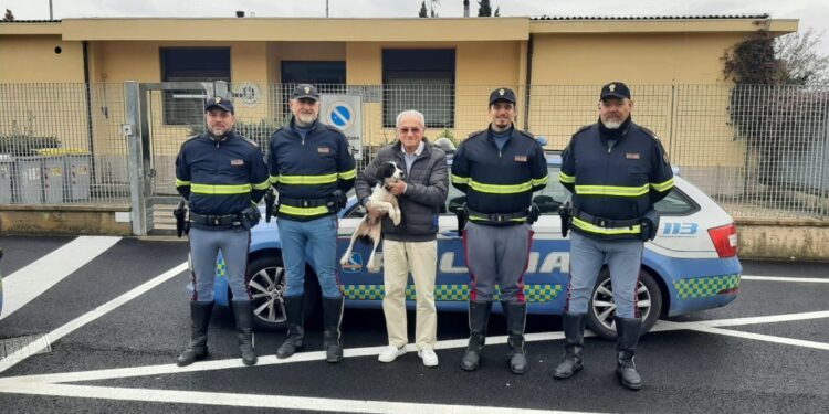 Evitati incidenti con i veicoli. Automobilisti danno l'allarme