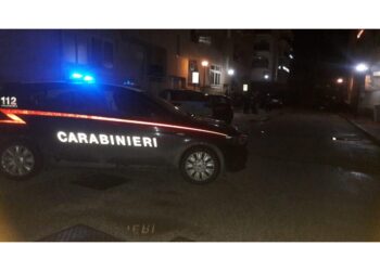 Accusato di avere ucciso i genitori con mannaia da macellaio