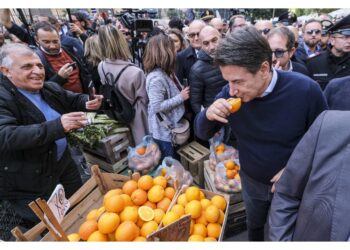 Allo Zen c'è gente che si spacca la schiena